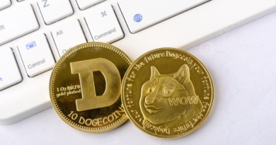 What Does The SpaceX IPO Have To Do With The Dogecoin Price?