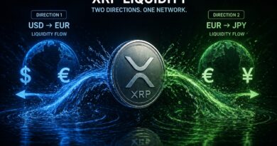 Analyst Ted Pillows Calls Out The XRP Liquidity Points In Both Directions