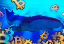 Bitcoin eyes $90K as whales absorb 20x daily BTC supply in 30 days