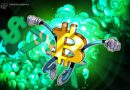 Bitcoin liquidations top $283M after short squeeze sends BTC price above $75K