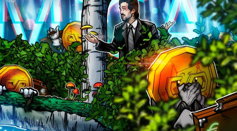 MiCA has made euro stablecoins safe but weak, new report argues