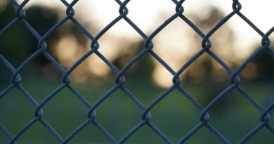 Polymarket Sees Record $153M Daily Volume After Chainlink Integration