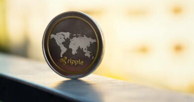 Ripple CEO’s Comments Stir Up A Wave, Here’s What He Said