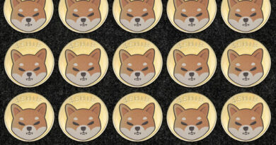 Shiba Inu Could Stage A Return As 20% Move Puts It Ahead Of Bitcoin And XRP In This Metric