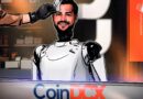 The fake website that led to an arrest: Inside the CoinDCX impersonation case