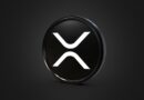 XRP Makes History Again With ZK Privacy Transactions, Here’s The Update