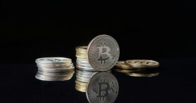 Bitcoin Can’t Be Broken By Wall Street, CEO Says
