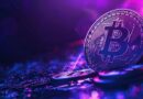 Bitcoin Short-Term Holder Basis Remains High Within Biggest Supply Cluster