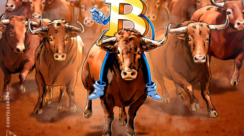 Bitcoin holds $81K amid flat derivatives markets: Is the rally sustainable?