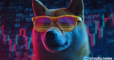 DOGEBALL 2900% profit chase crushes Poly Truth Capital, Meme Punch stagnation to stand alone as the leading crypto presale to buy now