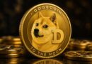 Dogecoin Bullish Divergence Says A 500% Price Rally Is Coming, But The Real Target Is Much Higher