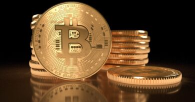 Is The Bitcoin Bottom In After Showing A Total Of 7 Bear Flags?