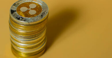 Market Expert Updates XRP Roadmap To $300 With New Data