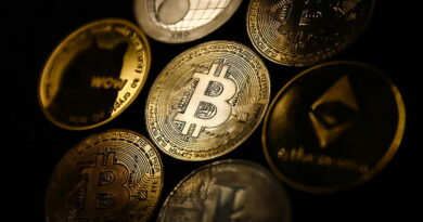 Next Phase Of The Crypto Market Could Experience The Biggest Wealth Transfer