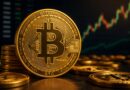 Why Is The Bitcoin Price Dumping Despite The Rise In Positive Sentiment?