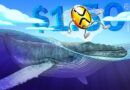 XRP whale wallets hit all-time highs: Will it push price above $1.50?