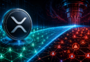 ew Ledger Scan Shows How Much XRP Is Quantum-Exposed