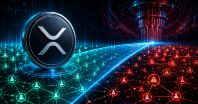 ew Ledger Scan Shows How Much XRP Is Quantum-Exposed