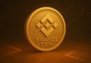 Binance Coin Consolidates Near Local Su
