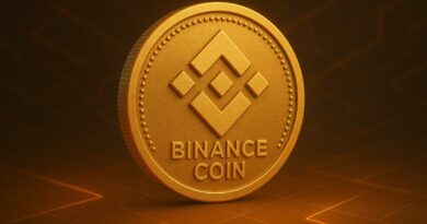 Binance Coin Consolidates Near Local Su