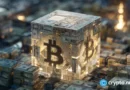 Bitcoin crash fails to scare institutions, Coinbase strategist says