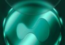 Crypto Founder Predicts This Altcoin Sweetheart Will Overtake Solana, But How Far Will It Go?