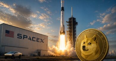 Is Dogecoin Dead Or Could The SpaceX IPO Lead To A Revival?