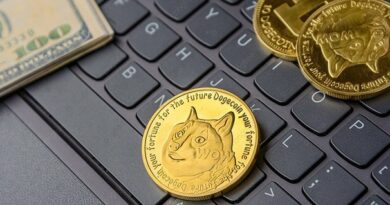 Is Dogecoin Near A Bottom? This Key Metric Is Offering New Clues On The Matter