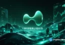 Multicoin Capital backs $319 HYPE target despite major risk warnings