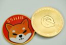 Shiba Inu Balances On Binance Plunge By 1.1 Trillion Tokens