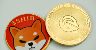 Shiba Inu Balances On Binance Plunge By 1.1 Trillion Tokens