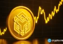 Will BNB price fall below $500 as a giant megaphone pattern emerges?