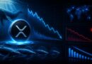 XRP Whale Activity Falls To A Four-Year Low – What Does It Mean For Price?