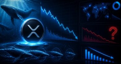 XRP Whale Activity Falls To A Four-Year Low – What Does It Mean For Price?