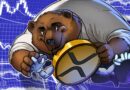 XRP transaction demand falls 91.5% as traders focus on $0.65 support