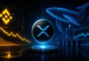 Binance Auto-Burn Destroys 1.6M BNB Worth $932M