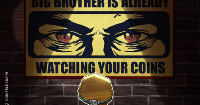 Bull Bitcoin asks French court to strike down DAC8 implementing decree