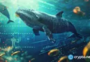 Dormant Bitcoin wallet moves $383M after more than 8 years