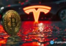 Tesla wins UK 5G patent appeal over $32 fee