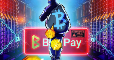 BTCPay restricts remote Lightning access after attackers steal funds