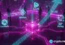 BitMart creditors organize after $10M rescue offer