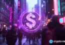 Circle confirms Sept. 16 Arc launch as BlackRock, Visa join validator group