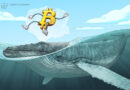 Crypto whales accumulate as bear market nears late stage: CryptoQuant