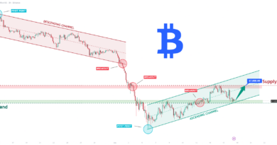 Bitwise And Vise Bring Crypto Model Portfolios To Financial Advisors