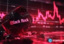 BlackRock says Bitcoin volatility fell to 35–40