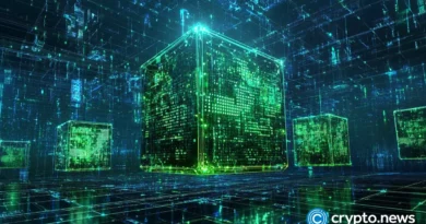 MultiversX investigates potential mainnet issue