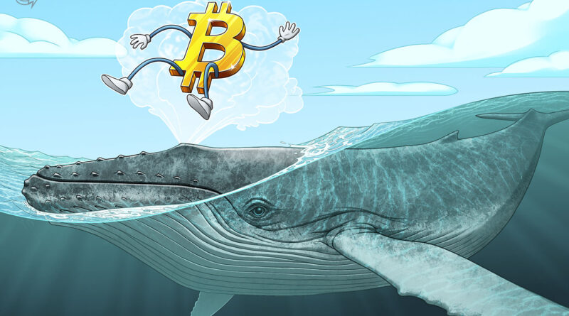 Satoshi-era Bitcoin wakes after 16 years of dormancy as 600 BTC moves