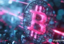 OpenSea faces push for Bitcoin Ordinals and Runes trading support